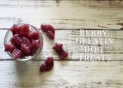 Berry Gelatin Dog Treat Recipe | www.thepugdiary.com