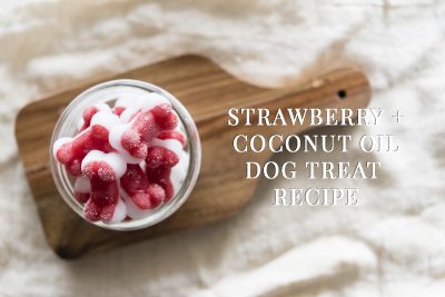 Strawberry + Coconut Oil Dog Treat Recipe | www.thepugdiary.com