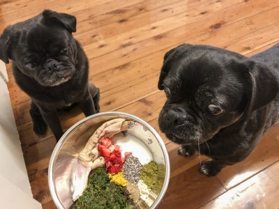 How to Feed Vegetables to Your Pug | www.thepugdiary.com