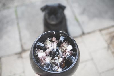 How to Stop Your Pug Eating Fast | www.thepugdiary.com