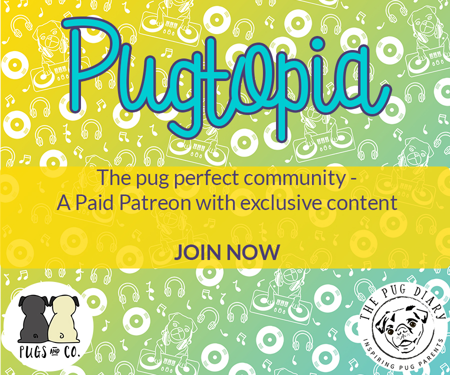 Pugtopia Patreon | www.thepugdiary.com