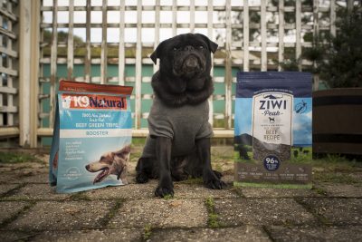 Travel Food Options for Raw Fed Pugs | www.thepugdiary.com